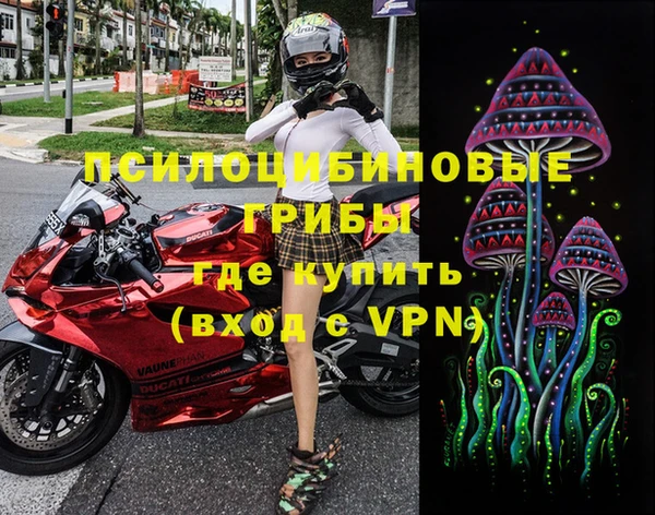 таблы Няндома
