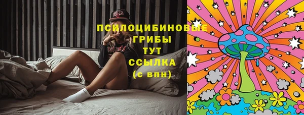 mdma Новодвинск