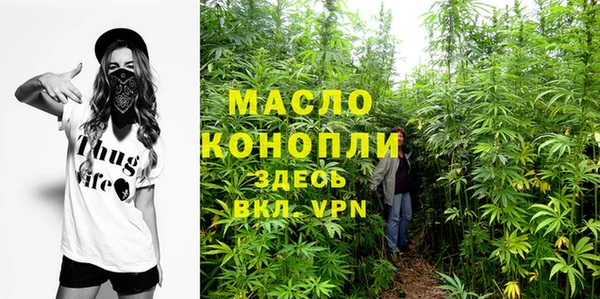таблы Няндома