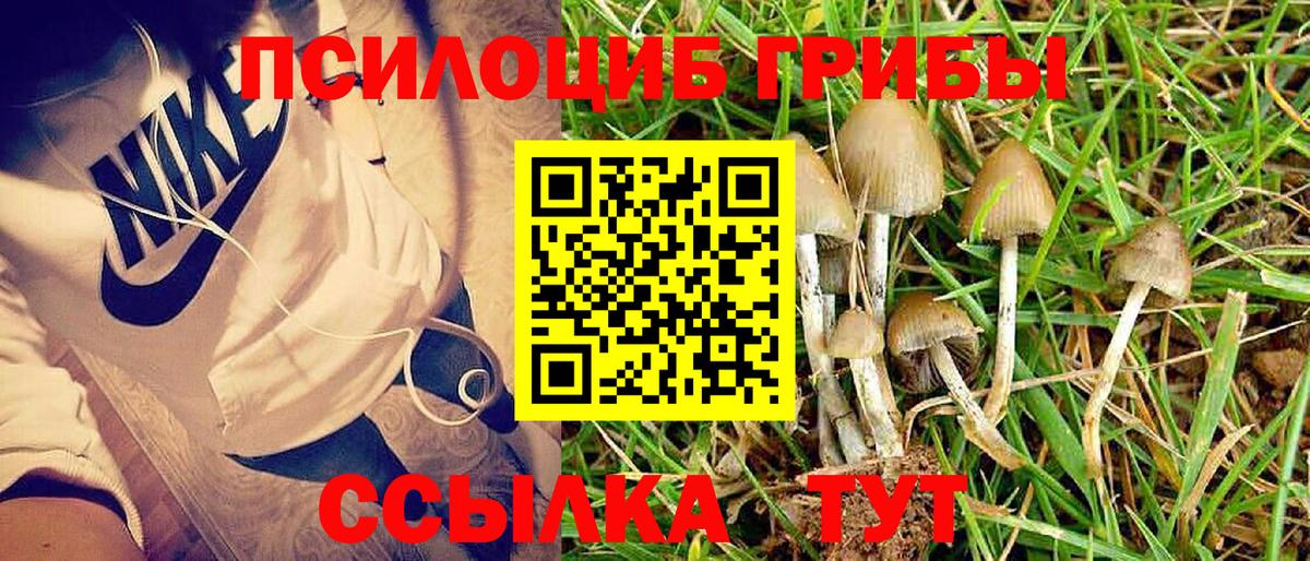 Галлюциногенные грибы ЛСД  Галлюциногенные грибы ЛСД  Вход с VPN  Сертолово 