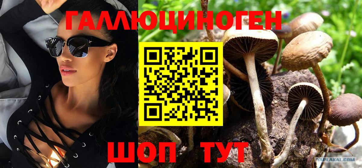 Галлюциногенные грибы Magic Shrooms Сертолово