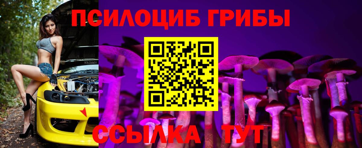 Псилоцибиновые грибы Psilocybine cubensis  Галлюциногенные грибы MAGIC MUSHROOMS  Сертолово 