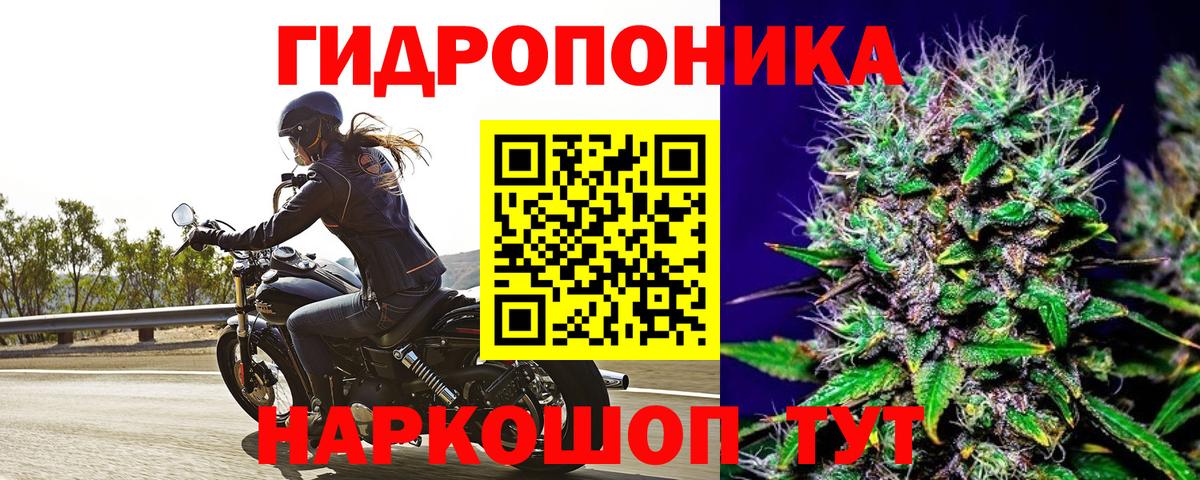 Альфа ПВП Сертолово